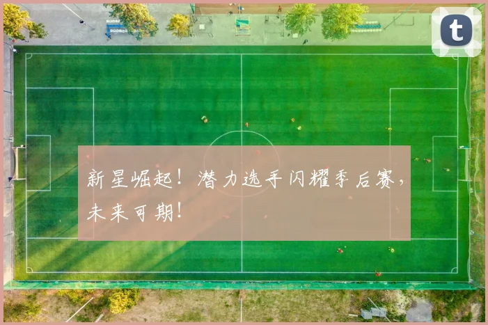 新星崛起！潜力选手闪耀季后赛，未来可期！