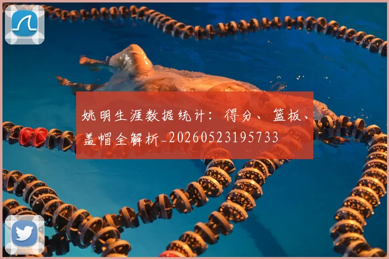 姚明生涯数据统计：得分、篮板、盖帽全解析_20260523195733