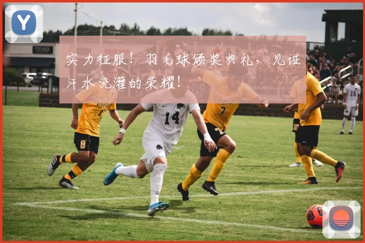 实力征服！羽毛球颁奖典礼，见证汗水浇灌的荣耀！